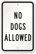 No Dogs Allowed Sign