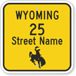 Custom Wyoming Highway Sign