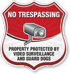 Video Surveillance No Trespassing Shield Sign 