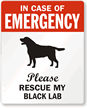 In Case Emergency, Rescue My Black Lab Label