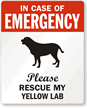 In Case Emergency, Rescue My Yellow Lab Label