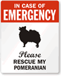 In Case Of Emergency, Please My Pomeranian Label