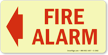 Glow-In-The-Dark Fire Alarm Sign