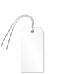 White Tear Proof Blank Plastic Tags with Wire