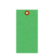 Green Tyvek Shipping Tag With Metal Eyelet