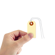 Manila 10 point Cardstock Tags (with looped strings)