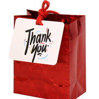 Recyclable Name Tags