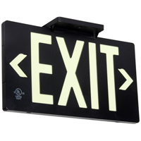 Molded Plastic Exit Sign