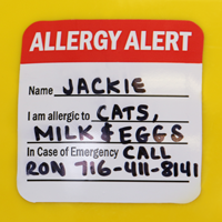 Alergy Alert Decal