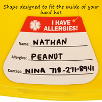 Hard Hat Decals
