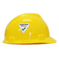 Hard Hat Decals