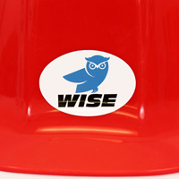 Custom Oval Hard Hat Labels