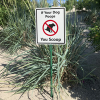 Responsible pet ownership: Scoop after your dog sign