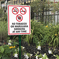 Prohibition sign for tobacco and marijuana smoking