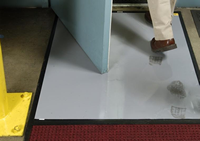 Clean Stride® Mats