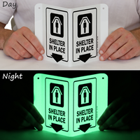 Shelter In Place Projecting V-Sign