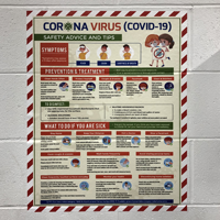 Flu Symptoms Prevention Poster