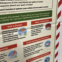 Stay Healthy Flu Advice Poster