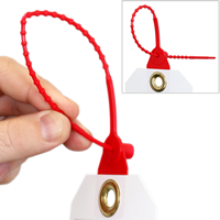 Do Not Operate Loop n Lock Tie Tags