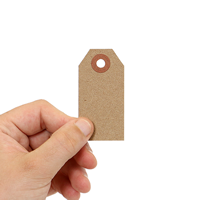 Blank Tag With Fiber Patch