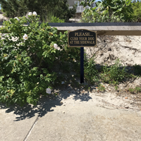 Curb Your Dog Statement Lawn Plaque