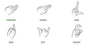 Trader Signs