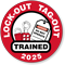 LOCK-OUT TAG-OUT TRAINED (Select Year) Hard HAT DECAL