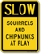 Squirrels And Chipmunks At Play Slow Sign